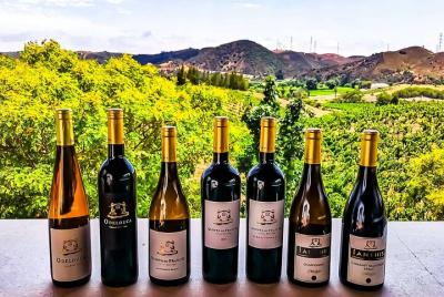 Tour de cata de vinos en grupos pequeños desde Lagos