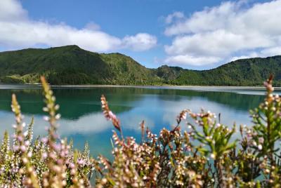 Excursión a pie por Lagoa do Fogo con almuerzo desde Ponta Delgad