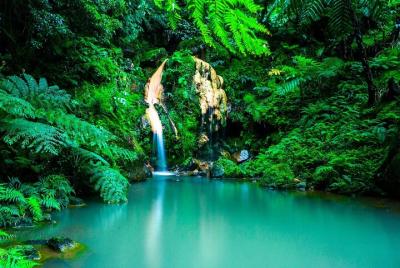 Excursión privada a las Termas de São Miguel