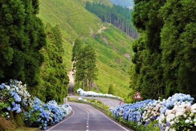 Siete Ciudades | La laguna azul y verde - Visita de medio día