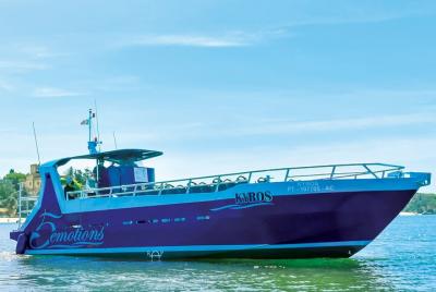 Delfines y Cuevas - Benagil