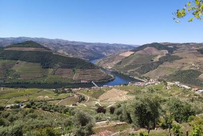 Tour bodegas del valle del Duero: aquí bebes tradición Tour bodegas del valle del Duero: aquí bebes tradición