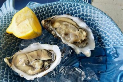 Visita turística privada en Aveiro con recogida