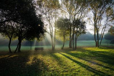 Taller privado de fotografía de naturaleza en Oporto
