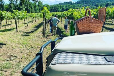 SAFARI DE VINO en el valle del Duero con picnic, visita a la bode