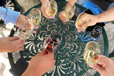 Recorrido vinícola a pie por Oporto