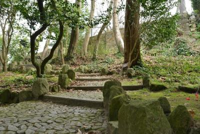 Discovery Walk en los Jardins do Palácio de Cristal de Oporto: vi
