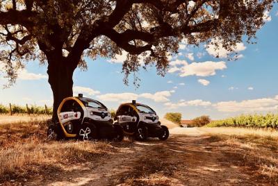 Evora Megalithic: tour privado sin conductor en coches eléctricos