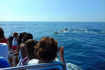 Excursión de avistamiento de delfines en Sesimbra Excursión de avistamiento de delfines en Sesimbra