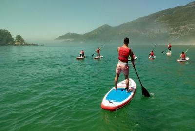 Lecciones de Stand Up Paddle Lecciones de Stand Up Paddle