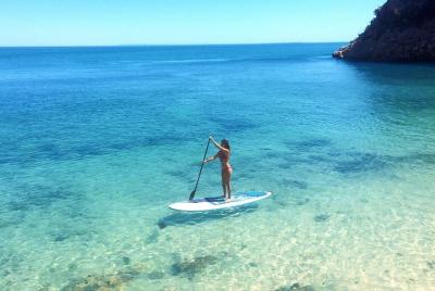 Stand Up Paddle en Marine Sanctuary Stand Up Paddle en Marine Sanctuary