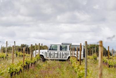 Visita a la finca Visita a la finca