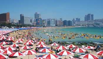 Restaurantes de Pusan  Dónde comer en Pusan  Restaurantes de Pusan  Dónde comer en Pusan