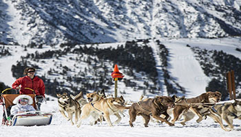 Restaurantes de La Massana  Dónde comer en La Massana  Restaurantes de La Massana  Dónde comer en La Massana