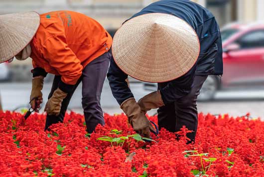 CAMBOYA Y NORTE DE VIETNAM CAMBOYA Y NORTE DE VIETNAM