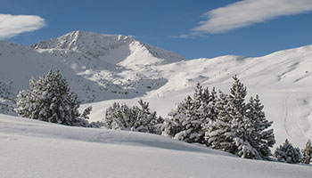 Restaurantes de Soldeu Dónde comer en Soldeu Restaurantes de Soldeu Dónde comer en Soldeu