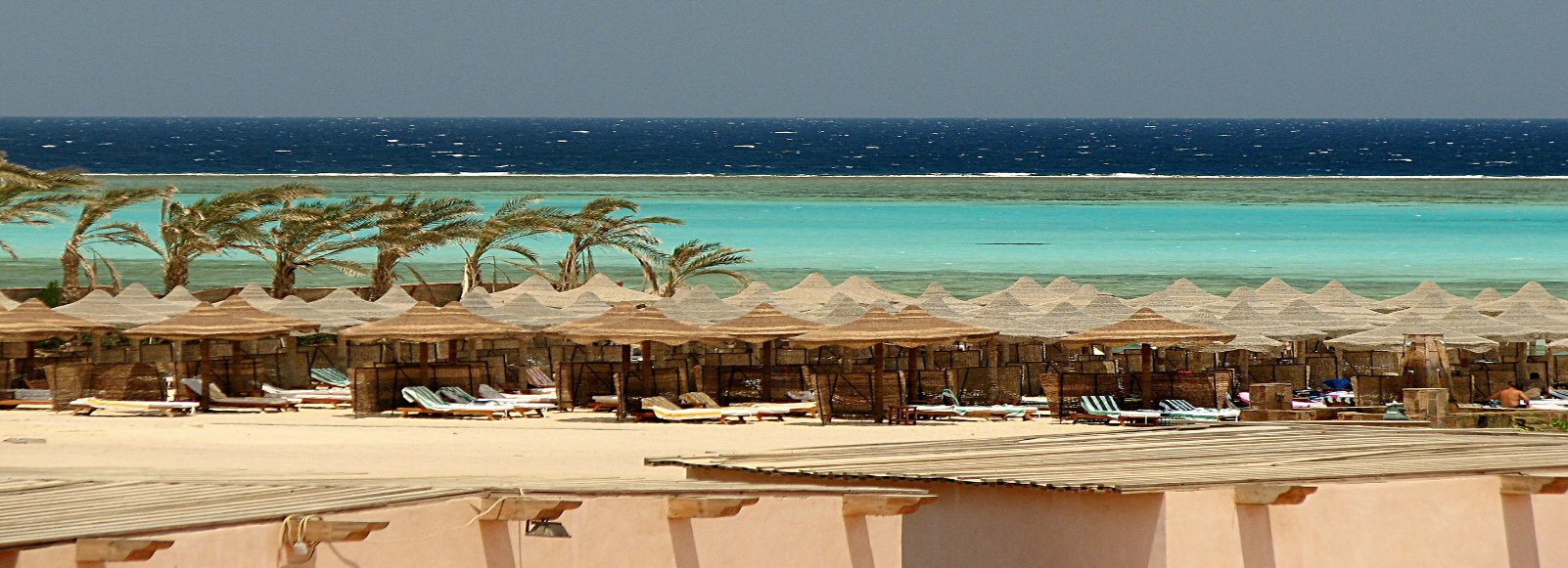 Transfer Offers in Marsa Alam. Low Cost Transfers in  Marsa Alam 