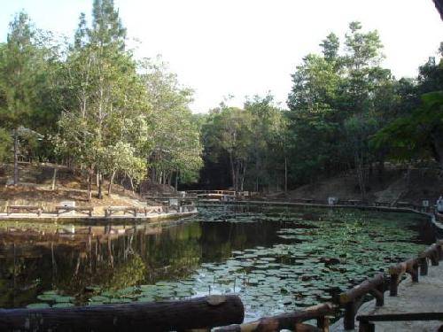 Brunéi  Bandar Seri Begawan  Parque Recreacional Bukit Shahbandar Parque Recreacional Bukit Shahbandar Bandar Seri Begawan - Bandar Seri Begawan  - Brunéi 