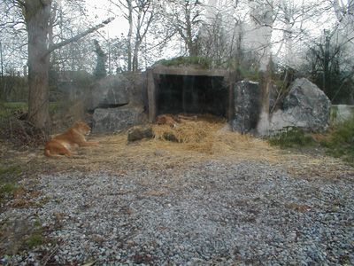 Parque Zoológico de Dublín