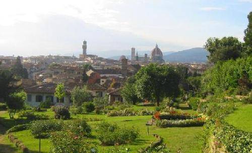 Italy Florence Roses Garden Roses Garden Tuscany - Florence - Italy
