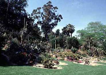 Italy Napoli Botanical Garden Botanical Garden Napoli - Napoli - Italy