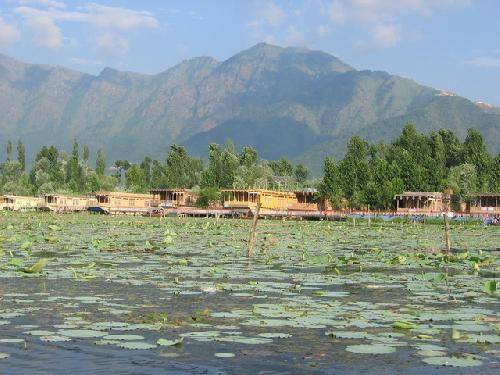 India Srinagar  Lago Dal Lago Dal Jammu And Kashmir - Srinagar  - India