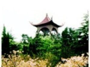 The Zoo and Botanical Gardens of Xianggangdao