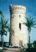 las Palomas Tower