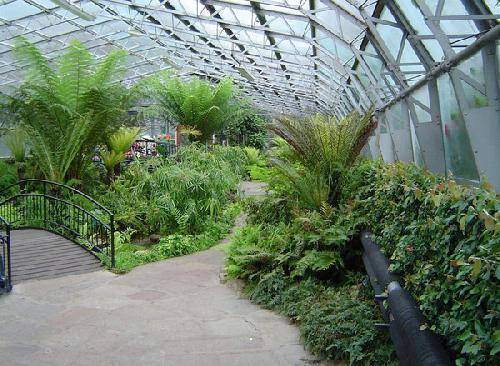 El Reino Unido Aberdeen  Duthie Park y Winter Gardens Duthie Park y Winter Gardens Escocia - Aberdeen  - El Reino Unido