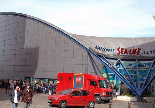 El Reino Unido Birmingham National SeaLife Centre National SeaLife Centre West Midlands - Birmingham - El Reino Unido