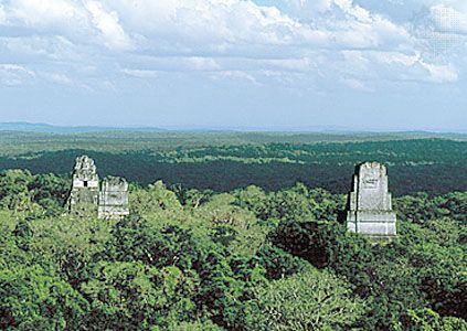 Guatemala Tikal Parque Nacional de Tikal Parque Nacional de Tikal Centro America - Tikal - Guatemala