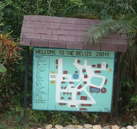 Belice Belize  Zoológico y Centro de Educación Tropical de Belice Zoológico y Centro de Educación Tropical de Belice Belize - Belize  - Belice