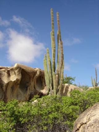 Aruba Oranjestad  Rocas de Arikok y Ayó Rocas de Arikok y Ayó Oranjestad - Oranjestad  - Aruba