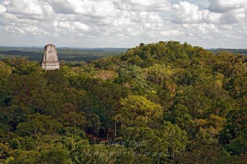 Guatemala Parque Nacional de Tikal Templo III Templo III Guatemala - Parque Nacional de Tikal - Guatemala
