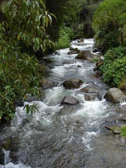 Durika Biological Reserve
