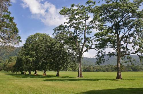 Trinidad y Tobago Port Of Spain  Queen`s Park Queen`s Park Trinidad y Tobago - Port Of Spain  - Trinidad y Tobago