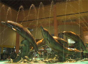 Mexico Veracruz Aquarium Aquarium Veracruz - Veracruz - Mexico