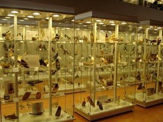 Mexico Mexico City Footwear Museum Footwear Museum Mexico City - Mexico City - Mexico