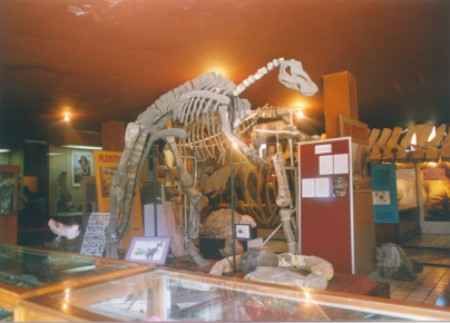 Mexico Delicias Palaeontology Museum Palaeontology Museum Chihuahua - Delicias - Mexico