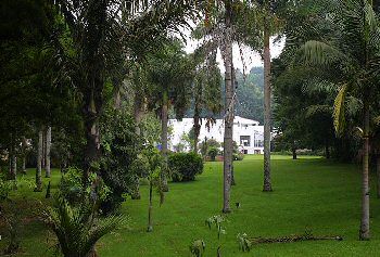 Clavijero Botanical Garden