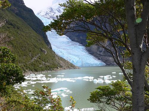 Chile Puerto Natales  Parque Nacional Bernardo O