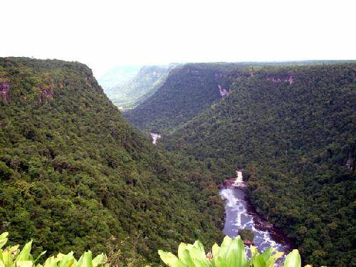 Guyana  Cascadas de Kaieteur Cascadas de Kaieteur Potaro Siparuni -  - Guyana
