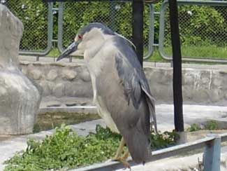 Zoological Park of Lima