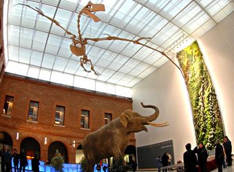 France Toulouse Natural History Museum Natural History Museum Midi Pyrenees - Toulouse - France