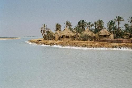 Egipto  Oasis de Siwa Oasis de Siwa Matrouh -  - Egipto