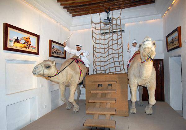 United Arab Emirates Dubai Camels House Camels House Dubai - Dubai - United Arab Emirates