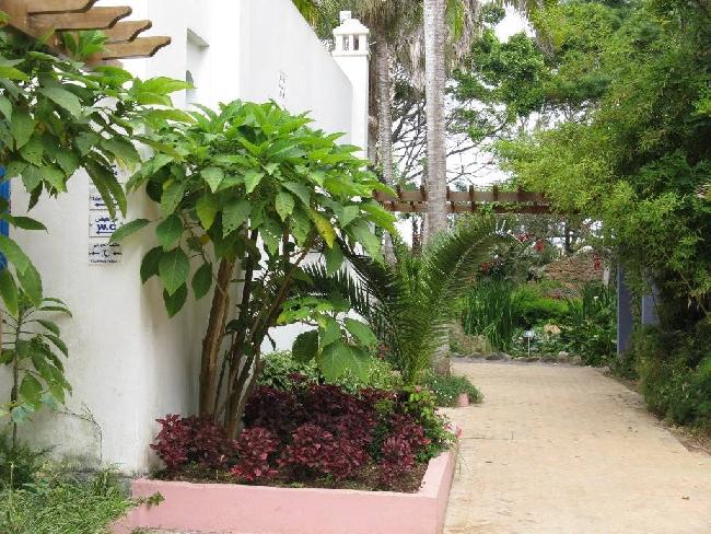 Marruecos Rabat  Jardines de Sidi Buknadel Jardines de Sidi Buknadel Rabat - Rabat  - Marruecos