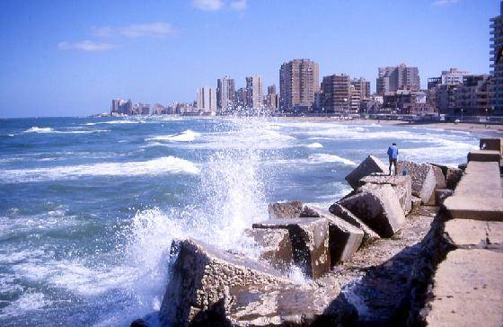 Egypt Alexandria Haret El Faraheda Haret El Faraheda Alexandria - Alexandria - Egypt