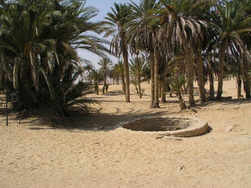 Egipto Sedr  Manantiales de Mousa Manantiales de Mousa El Sinai ( Sur ) - Sedr  - Egipto