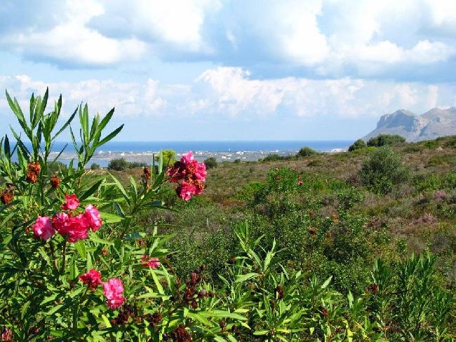 Greece Heraklion Botanical Park & Gardens Of Crete Botanical Park & Gardens Of Crete Europe - Heraklion - Greece